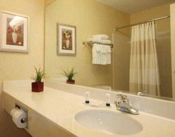 Quality Inn & Suites Bay City Genel