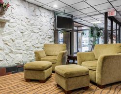 Quality Inn & Suites Binghamton Vestal Lobi