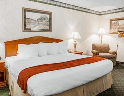 Quality Inn & Suites Brownsburg Genel
