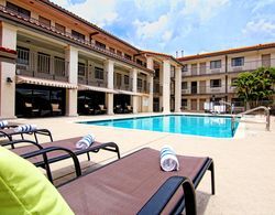 Quality Inn & Suites By The Parks Havuz