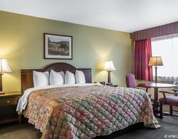 Quality Inn & Suites Cameron Park Shingle Springs Genel