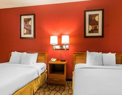 Quality Inn & Suites Chesterfield Village Genel