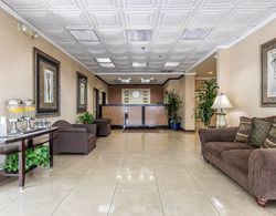 Quality Inn & Suites LAX Airport Inglewood-Lax Lobi