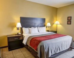 Quality Inn & Suites Lenexa Kansas City Genel