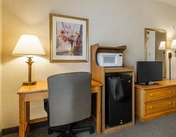 Quality Inn & Suites Madison Area Genel