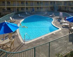 Quality Inn & Suites Near Downtown Bakersfield Havuz