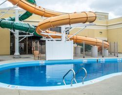 Quality Inn & Suites Palm Island Indoor Waterpark Genel
