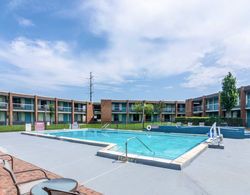 Quality Inn & Suites Pensacola Havuz