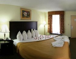 Quality Inn & Suites Statesboro Area Genel