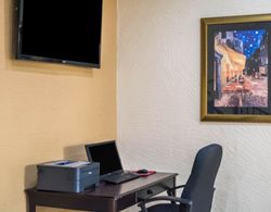 Quality Inn & Suites Tampa - Brandon near Casino Genel