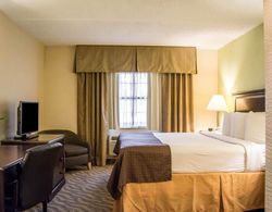 Quality Inn & Suites Tampa - Brandon near Casino Genel