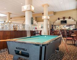Quality Inn & Suites Tarpon Springs South Genel