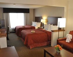 Quality Inn & Suites University Fort Collins Genel