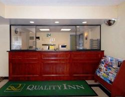 Quality Inn Takoma Park Lobi