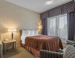 Quality Suites Hotel Whitby Genel