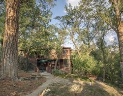 Quiet Mind Lodge Retreat & Spa  Sequoias Dış Mekan