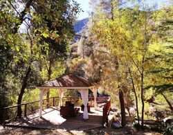 Quiet Mind Lodge Retreat & Spa  Sequoias Öne Çıkan Resim