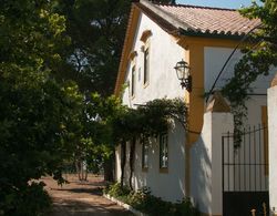 Quinta de SantAna da Várzea Dış Mekan
