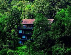 Rainforest Boutique Resort Dış Mekan