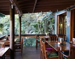 Rainforest Eco Lodge Genel