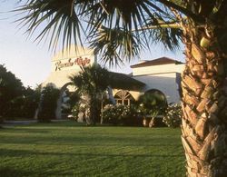 Rancho Viejo Resort & CC Genel