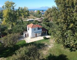 Villa Rania Zante Drosia Dış Mekan