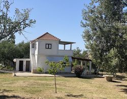 Villa Rania Zante Drosia Dış Mekan