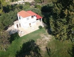 Villa Rania Zante Drosia Dış Mekan