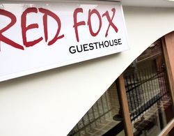 Red Fox Guesthouse Dış Mekan