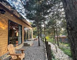 Red Pine Guest House Genel