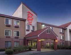 Red Roof Inn and Suites Savannah Airport Genel