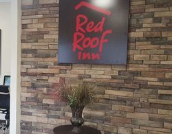 Red Roof Inn Arlington - Entertainment District Genel