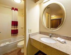 Red Roof Inn Greensboro Airport Banyo Tipleri