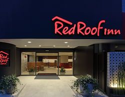 Red Roof Inn Kamata/Haneda Tokyo Genel