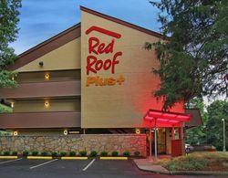 Red Roof Plus Atlanta Buckhead Genel