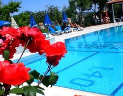 Hotel Red Rose Havuz