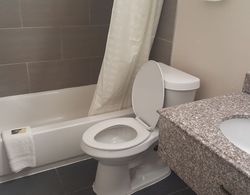 Regency Inn & Suites Banyo Tipleri