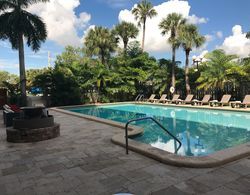 Regency Hotel Miami Havuz