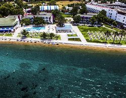 Regulus Beach Resort Hotel Genel