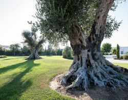 Relais Marchesi Imperiali Dış Mekan