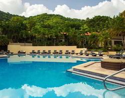 Renaissance St. Croix Carambola Beach Resort & Spa Havuz