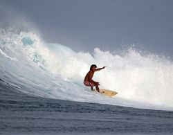 Rendezvous Surf Camp Fiji Genel