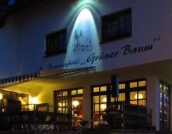 Rennsteighotel Grüner Baum Dış Mekan