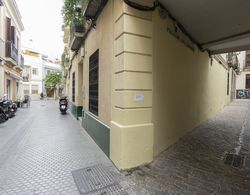 RentalSevilla Estudio con terraza junto a la Alameda Dış Mekan