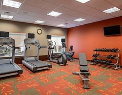 Residence Inn Fort Myers at I-75, Gulf Coast Town Genel