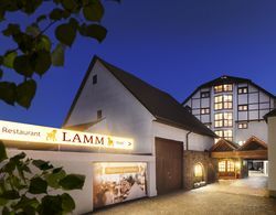 Hotel Restaurant Lamm Genel