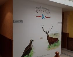 Hotel Restaurante Carvajal Genel