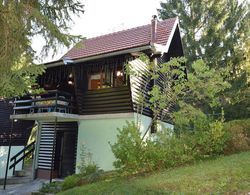 Restful Holiday Home in Vrbovsko With Garden and Barbecue Dış Mekan