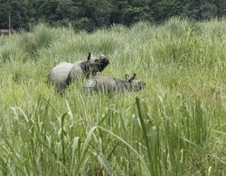 Rhino Land Jungle Lodge Dış Mekan