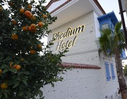 Rhodium Hotel Dış Mekan